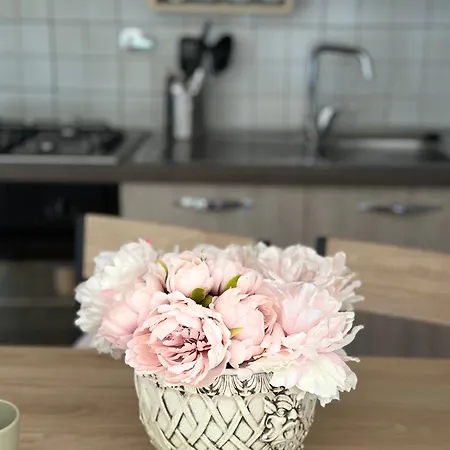 Spacious With Terrace Pérouse